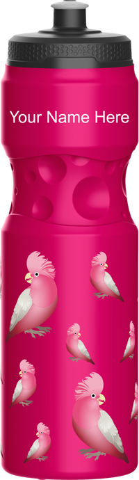 Glama Galah Water Bottles 11
