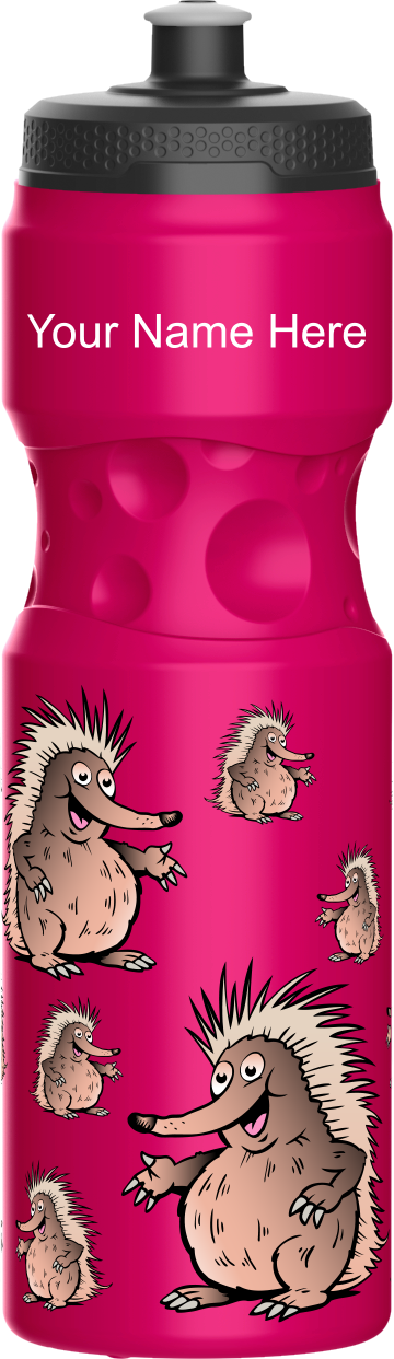 Spunky Echinda Water Bottle