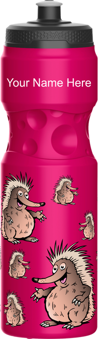 Spunky Echinda Water Bottle 11
