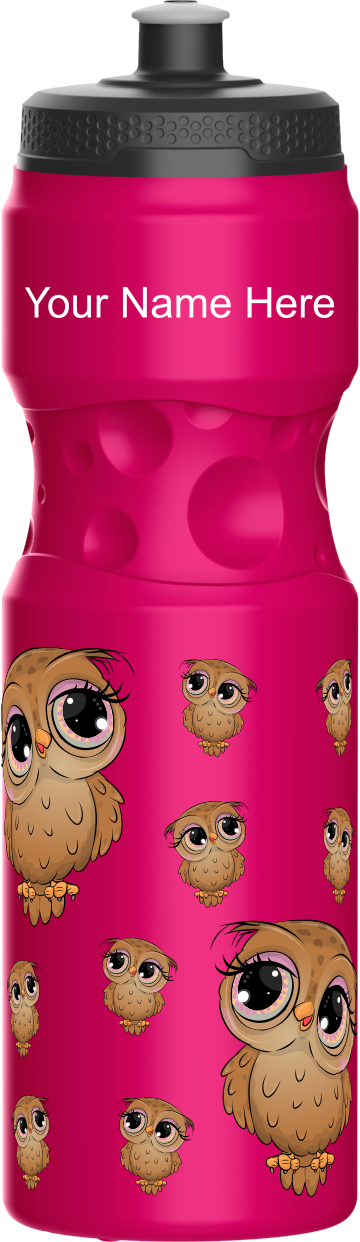 Owl Water Bottles