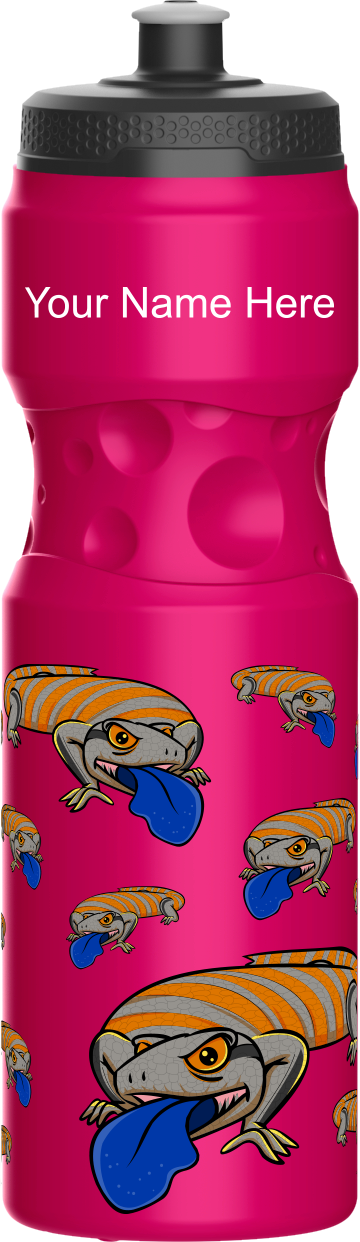 Bluey Lizards Water Bottles
