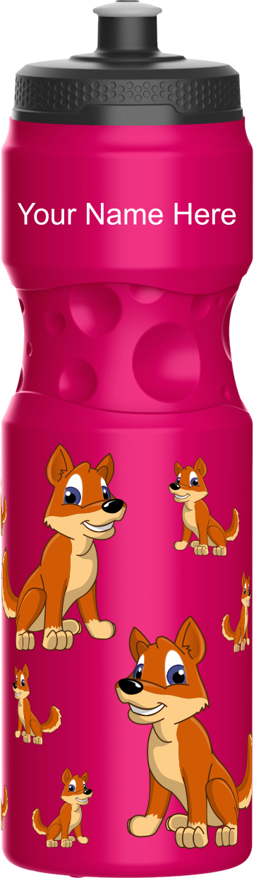 Dizzie Dingo Water Bottle