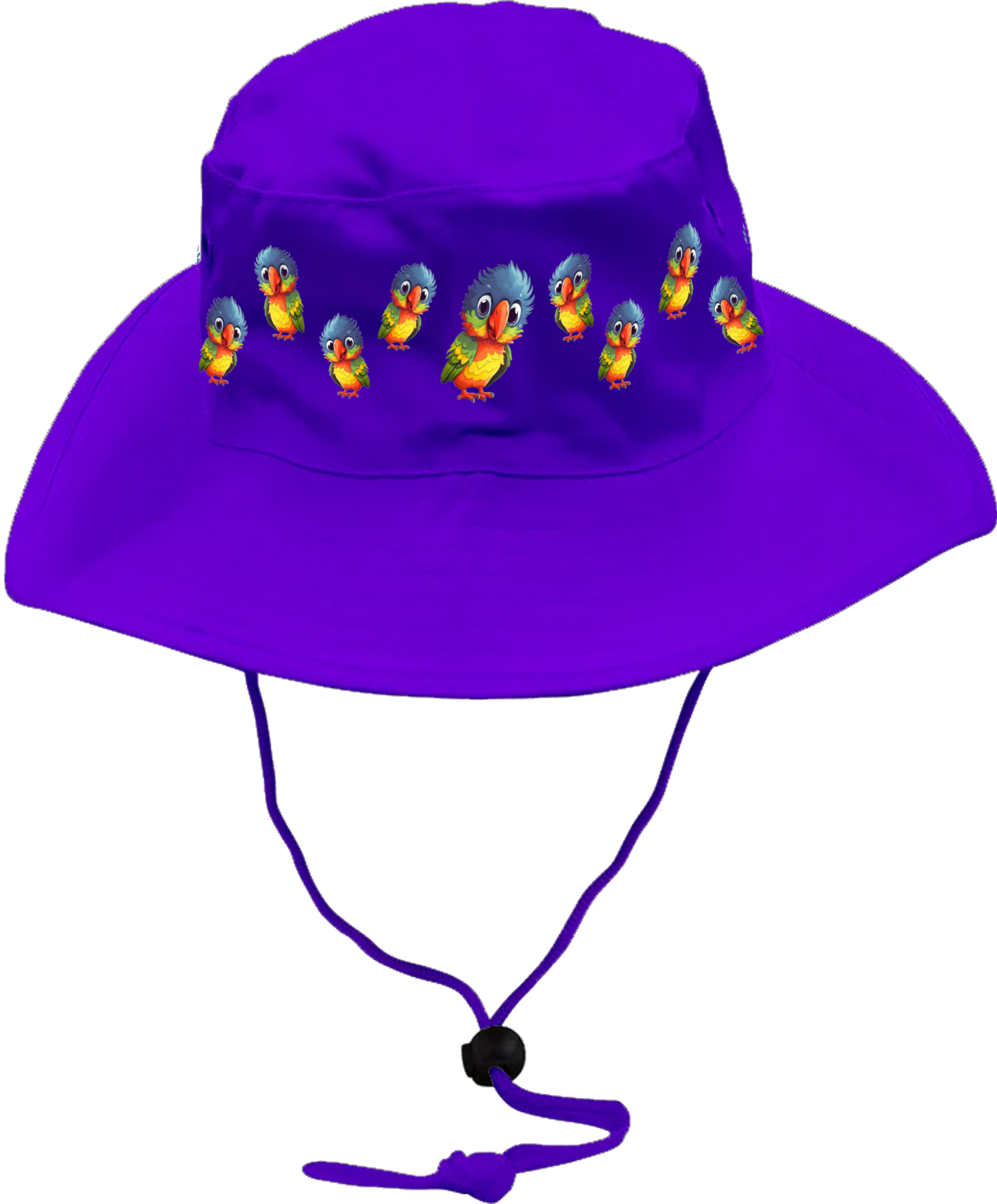 Rainbow Lorikeet  Wide Brim Hat