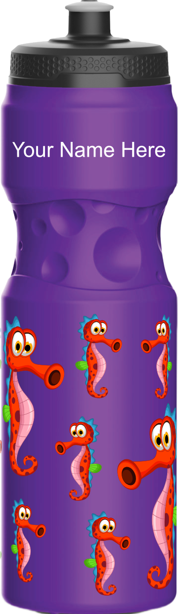 Sassy Seahorse Water Bottles