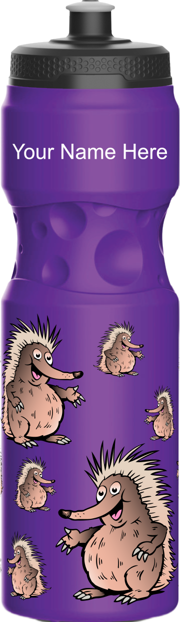 Spunky Echinda Water Bottle