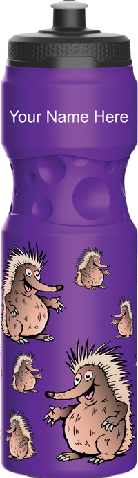 Spunky Echinda Water Bottle 12