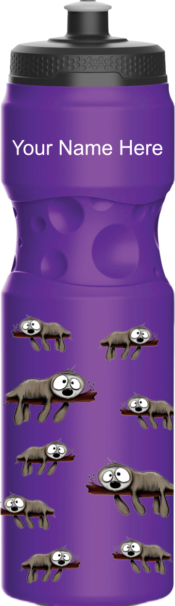 Snoozy Sloth Water Bottles