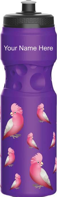 Glama Galah Water Bottles 12