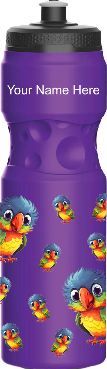 Rainbow Lorikeet Water Bottles