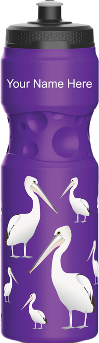 Pesky Pelican Water Bottles 16