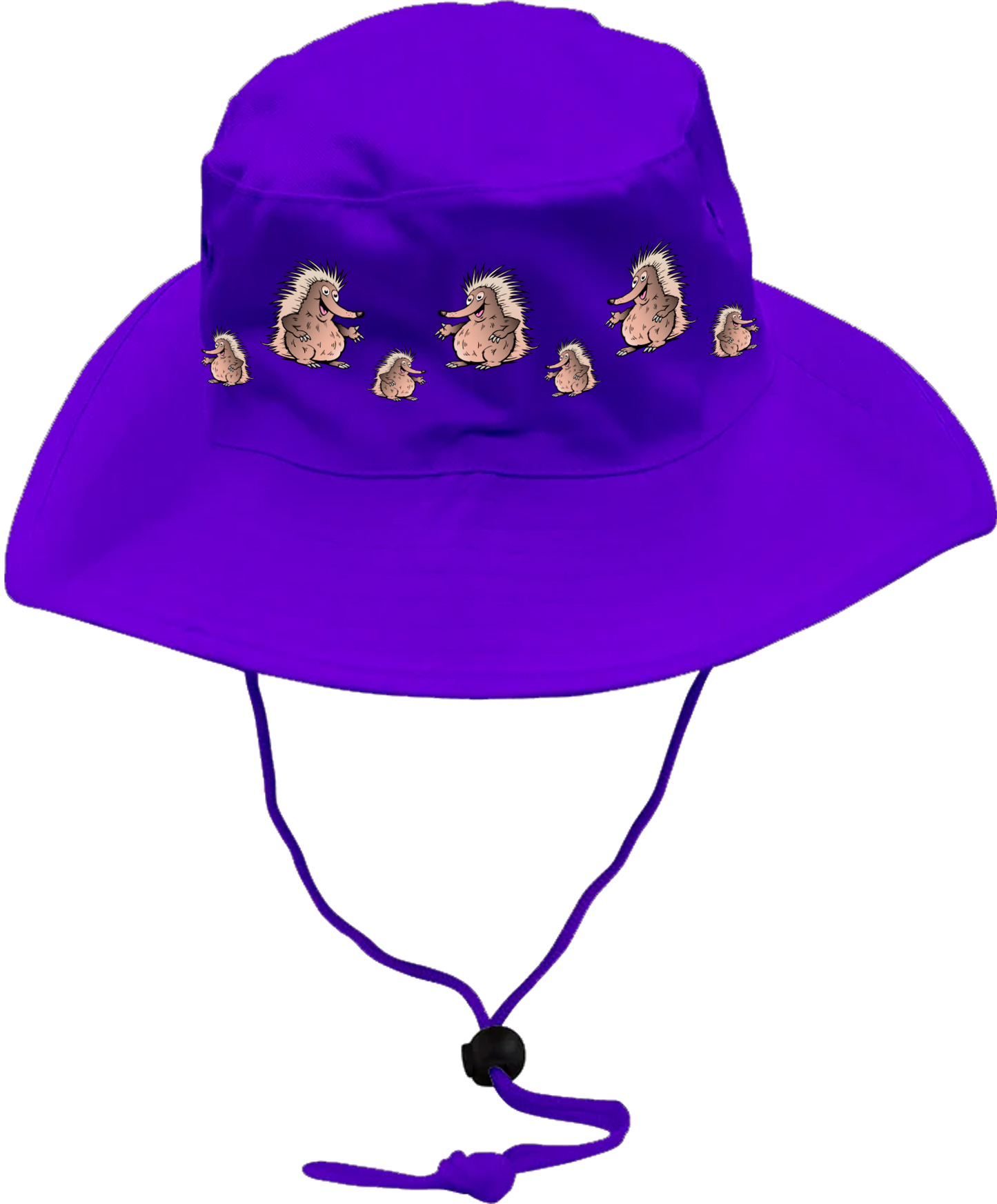 Spunky Echinda Wide Brim Hat