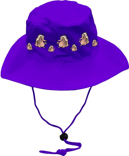 Spunky Echinda Wide Brim Hat