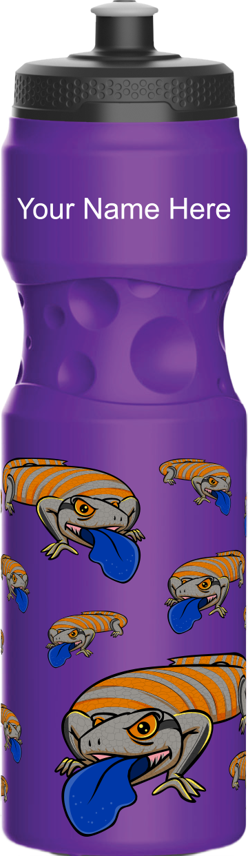 Bluey Lizards Water Bottles