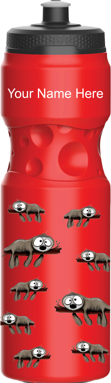 Snoozy Sloth Water Bottles