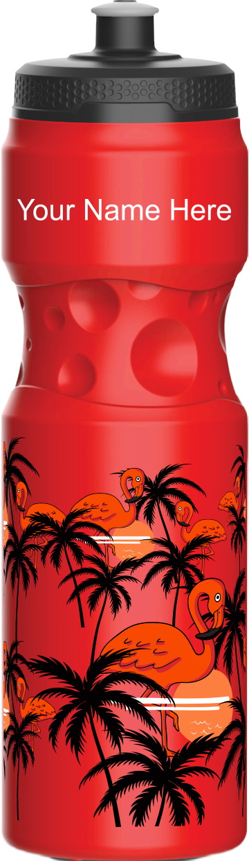 Miami Vice Water Bottles