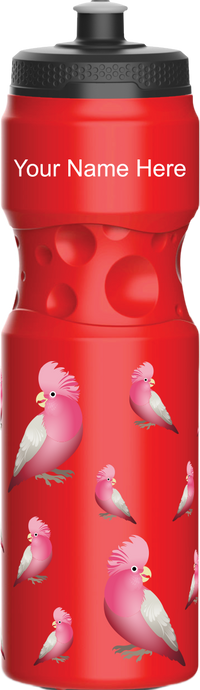 Glama Galah Water Bottles 13