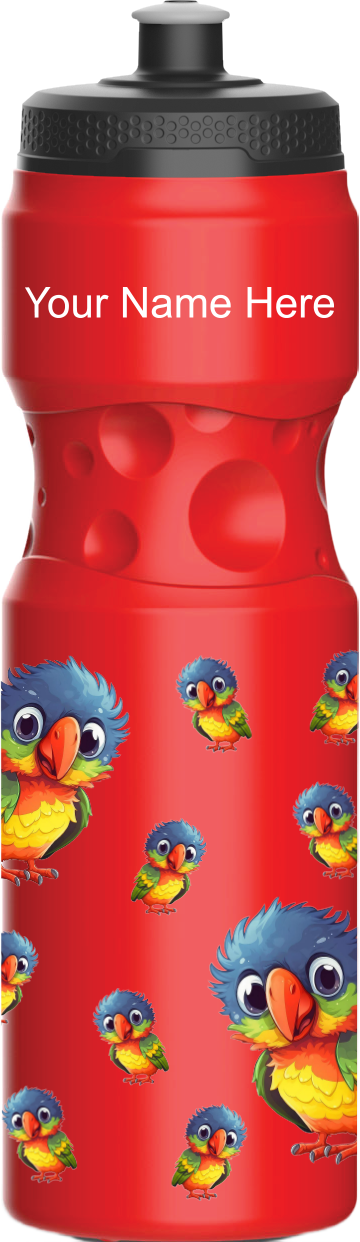 Rainbow Lorikeet Water Bottles