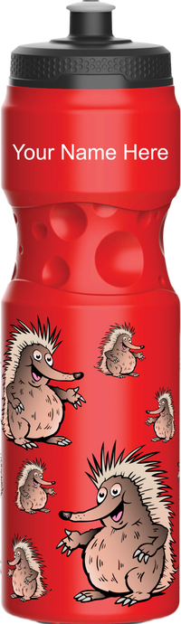 Spunky Echinda Water Bottle 13