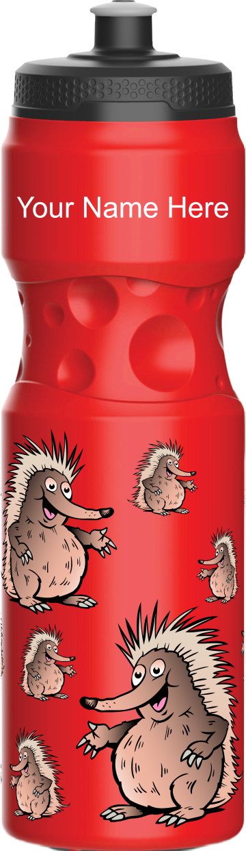 Spunky Echinda Water Bottle