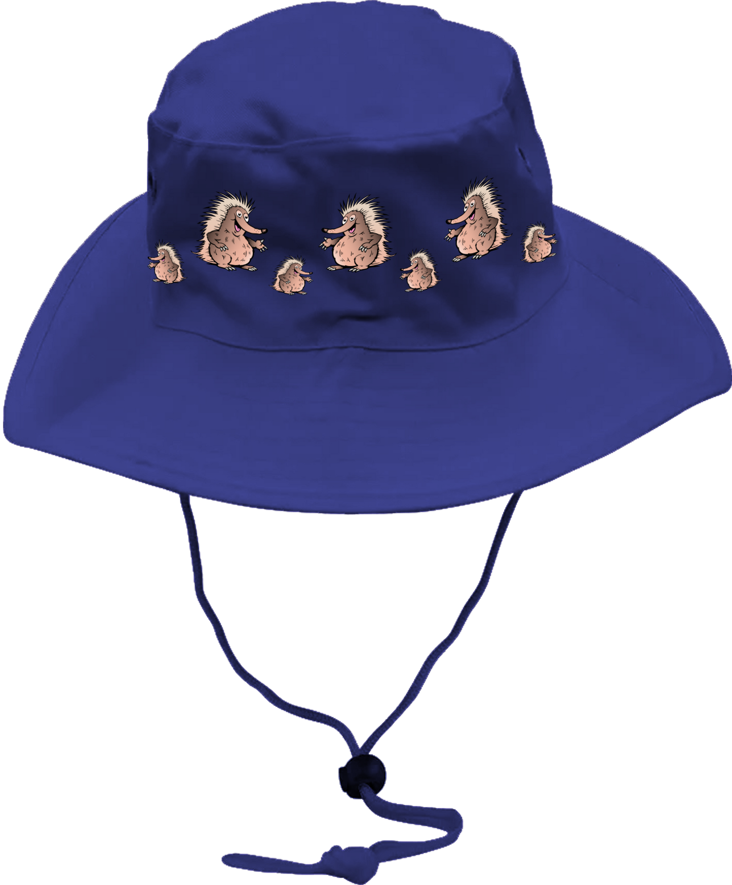 Spunky Echinda Wide Brim Hat