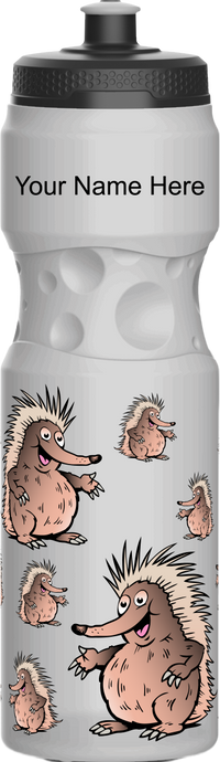 Spunky Echinda Water Bottle 14