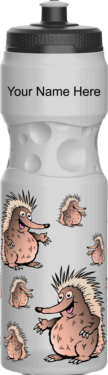 Spunky Echinda Water Bottle