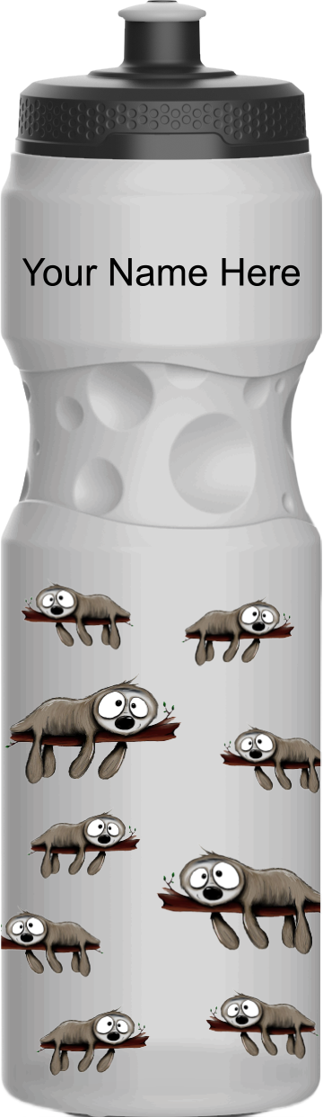 Snoozy Sloth Water Bottles