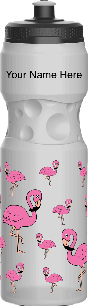 Flamingo Water Bottles