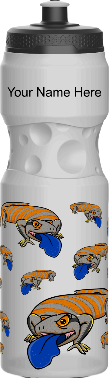 Bluey Lizards Water Bottles