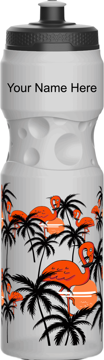 Miami Vice Water Bottles