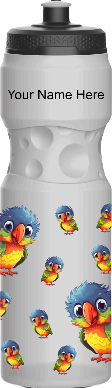 Rainbow Lorikeet Water Bottles