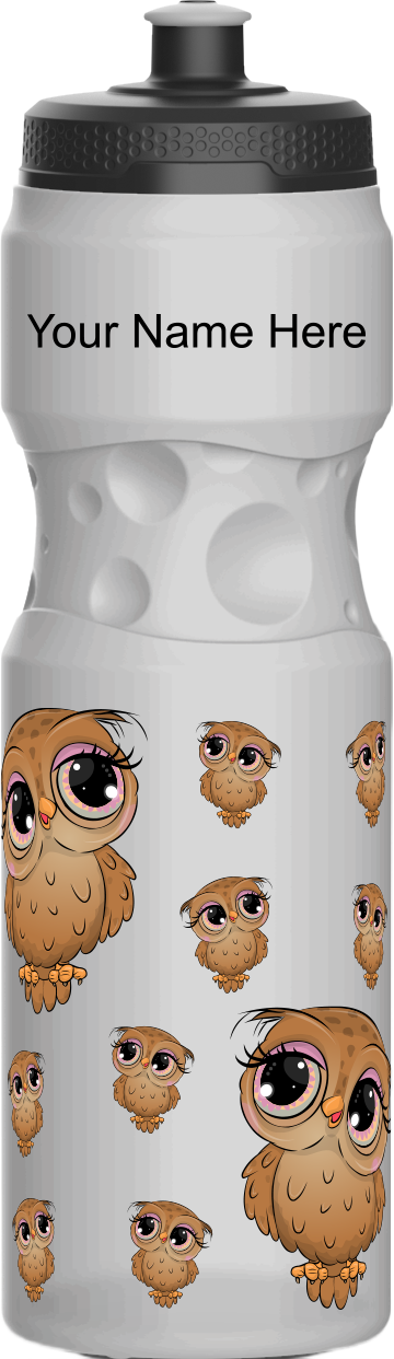 Owl Water Bottles