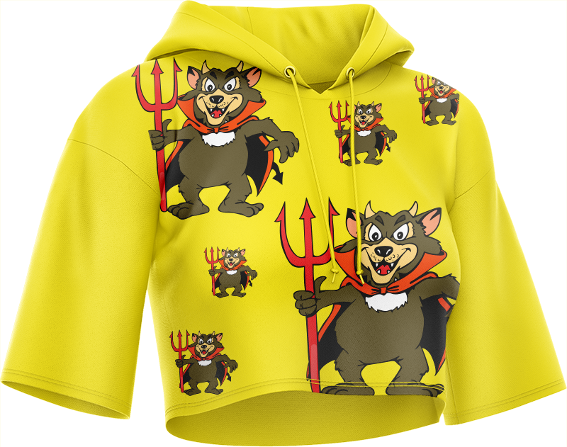 Devil Wears Crop hoodies
