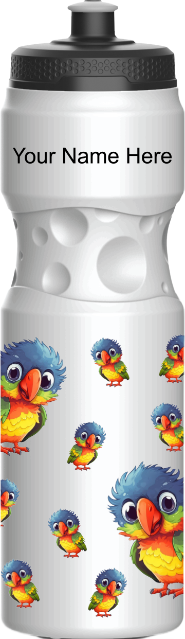 Rainbow Lorikeet Water Bottles