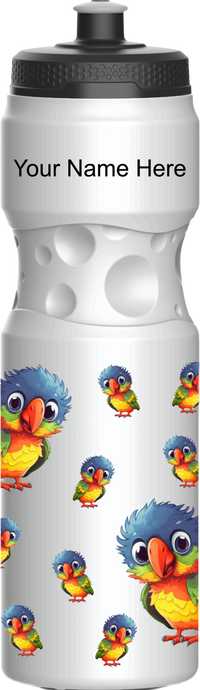 Rainbow Lorikeet Water Bottles 15