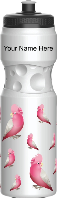 Glama Galah Water Bottles 15