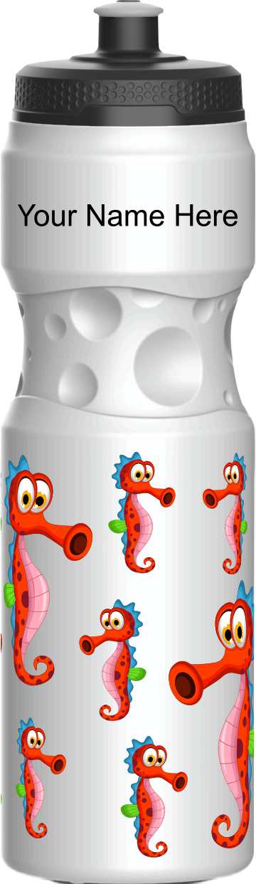 Sassy Seahorse Water Bottles