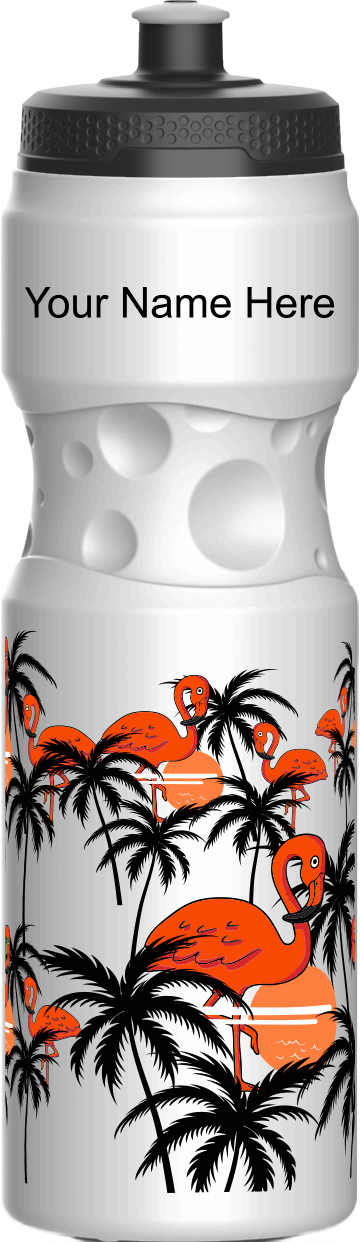 Miami Vice Water Bottles