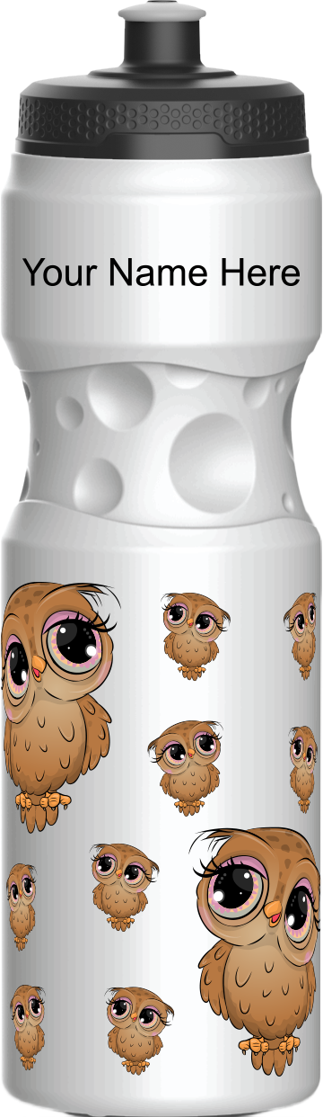 Owl Water Bottles
