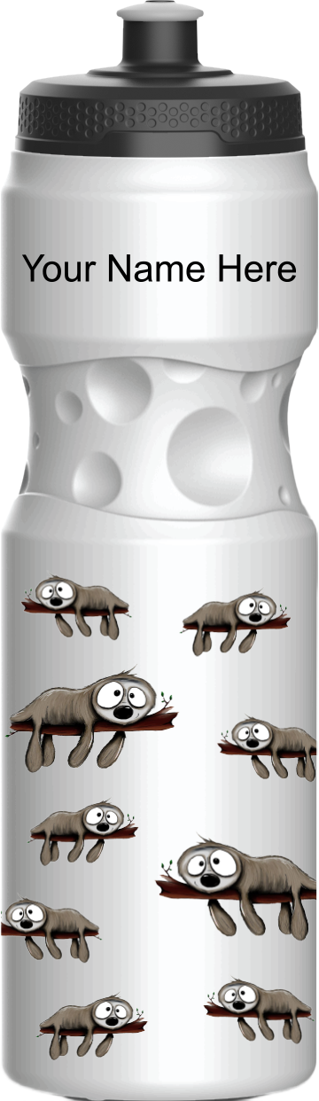 Snoozy Sloth Water Bottles