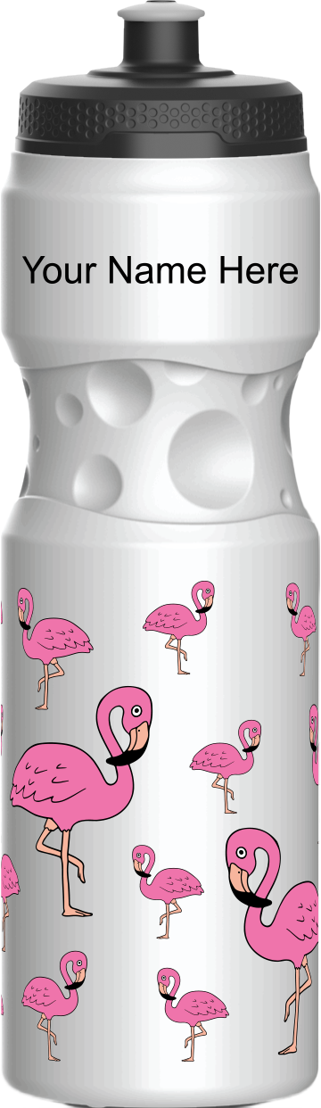 Flamingo Water Bottles