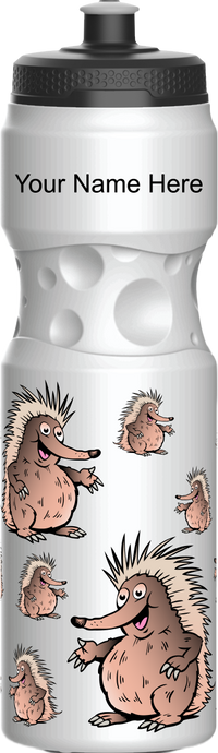 Spunky Echinda Water Bottle 15