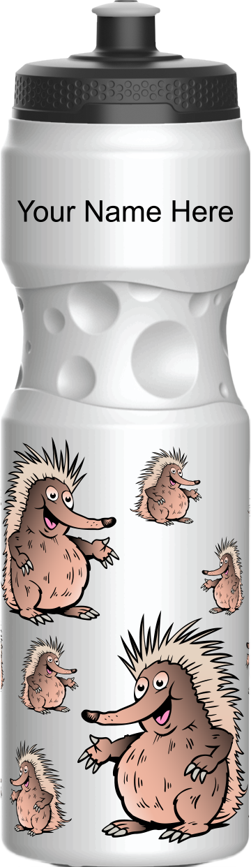 Spunky Echinda Water Bottle