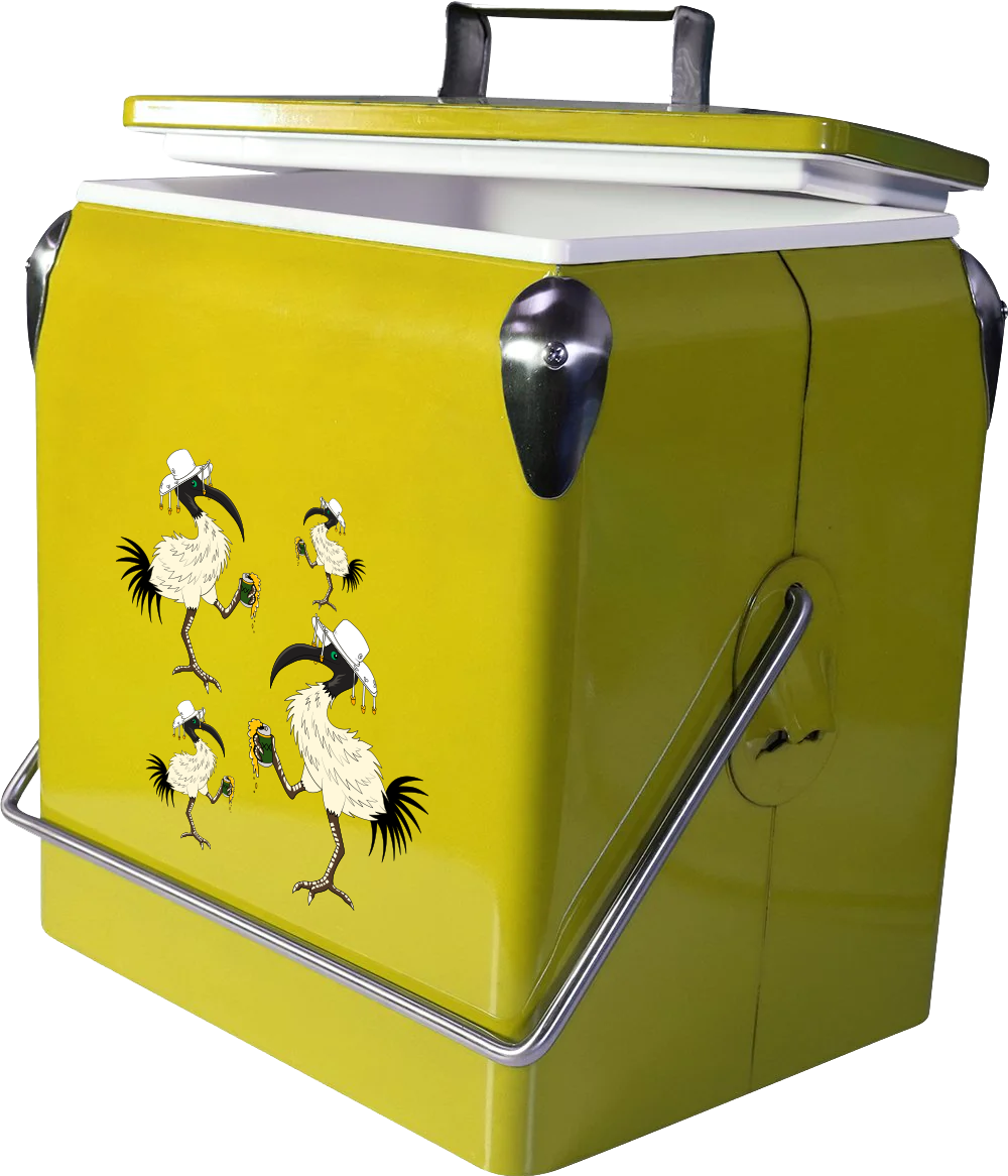 Bin Chicken Cooler Box