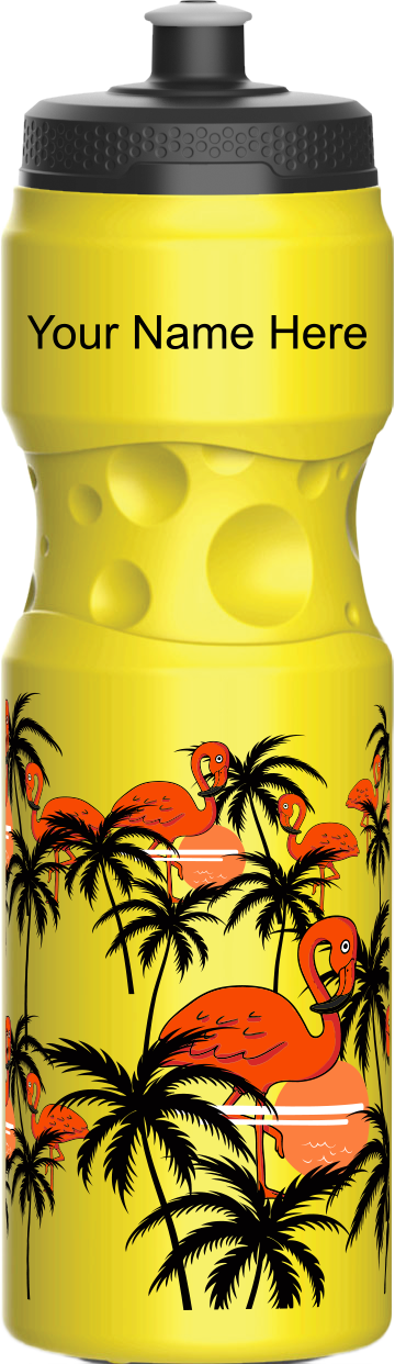 Miami Vice Water Bottles