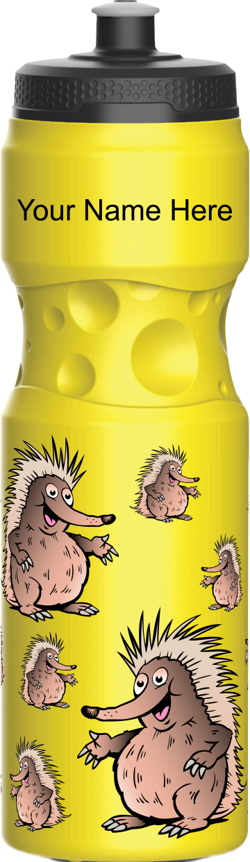Spunky Echinda Water Bottle