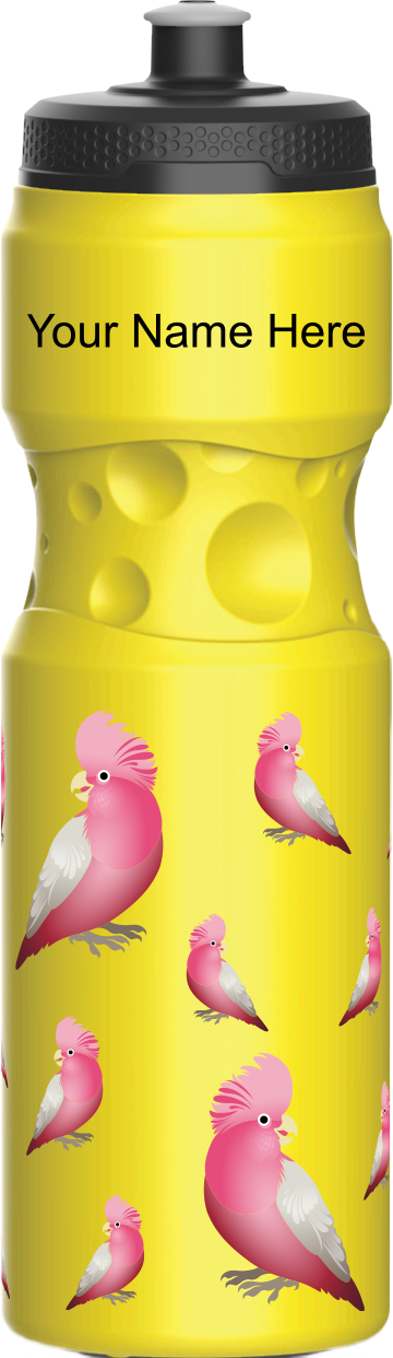 Glama Galah Water Bottles