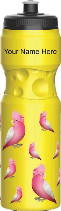 Glama Galah Water Bottles 16