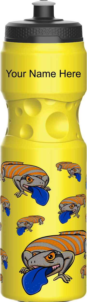 Bluey Lizards Water Bottles