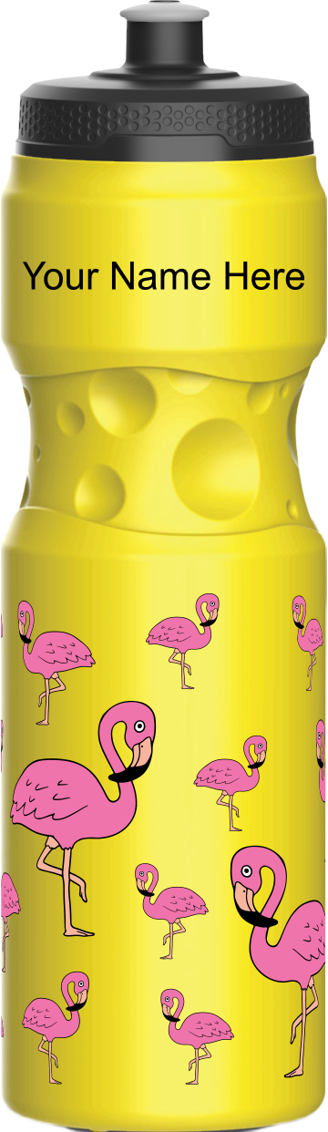 Flamingo Water Bottles